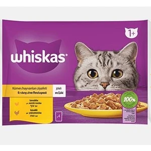 Tavuklu ve Hindili Yetişkin Kedi Yaş Maması 4X85 gr (13 Paket,52 Adet Tekli)