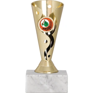 Odak Kupa - Genel Kupalar - GN-208 A - 16 cm