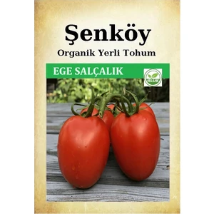 Yerli Ege Salçalık Domates Tohumu Doğal Ata Tohum Pakette 10 Gr 2500 Tohum