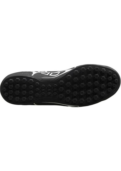 Siyah Hali Saha fırsatları