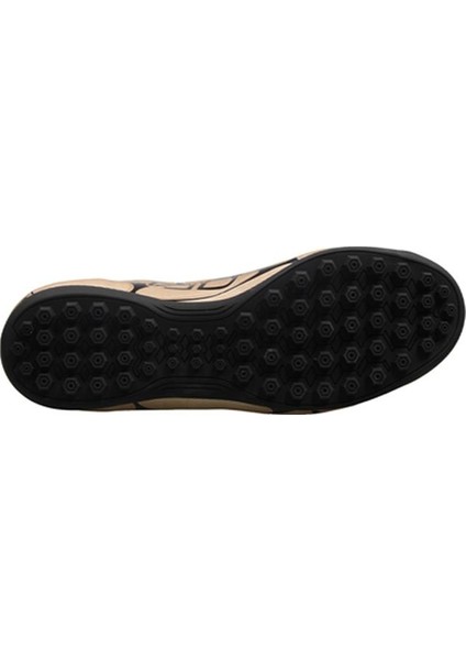 Gold Hali Saha