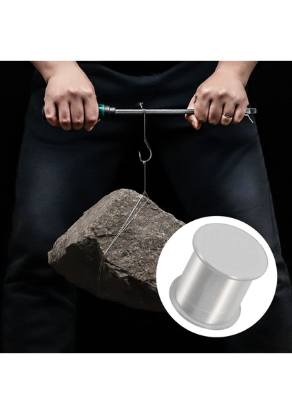 Ξ Ny Ue Zhang 500M 0.32MM Güçlü Monofilament Naylon Olta Şeffaf (Yurt Dışından) indirimleri