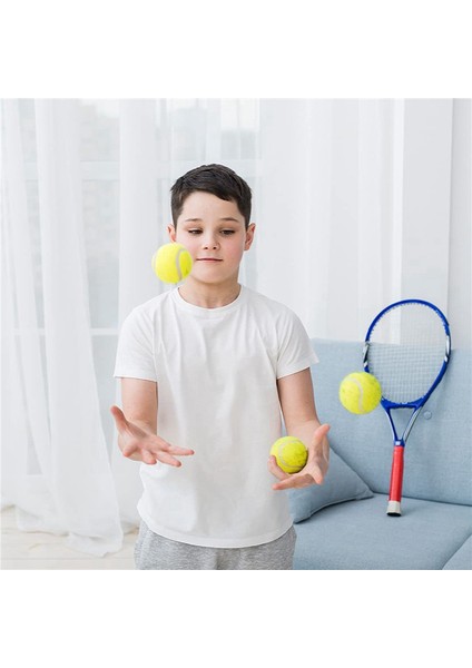 Ξ Ny Ue Zhang Saklama Çantalı 24'lü Paket Tenis Topları - Kaliteli Kalın Duvarlı Tenis Topu - Tenis ve Kriket Için Mükemmel (Yurt Dışından) indirimleri
