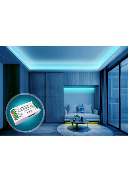 Ξ Ny Ue Zhang 4x Mini 4 Kanal Dmx Rgbw Dekoder 16A Rgb Rgbw Şerit Denetleyici Dmx 512 Dimmer Sürücü LED Şerit Işıklar Için DC9-24V (Yurt Dışından)