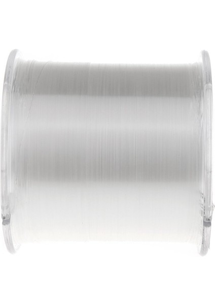Ξ Ny Ue Zhang 2 Adet 500M 0.32MM Güçlü Monofilament Naylon Olta Şeffaf (Yurt Dışından)