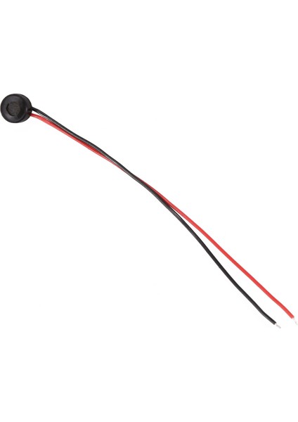 Ξ Ny Ue Zhang 30 Adet Elektret Kondenser Mıc 4mm x 2mm Pc Telefon Mp3 Mp4 Için (Yurt Dışından)