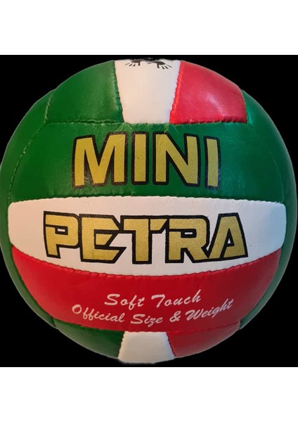 Ptc Mini El Dikişli 200 gr Voleybol Topu