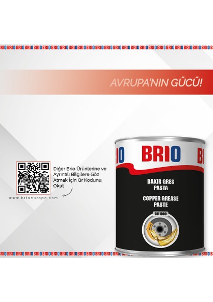 Bakır Gres Pasta 1000°C 1 L - 900 Gr