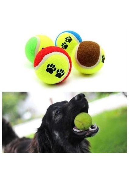 Buffer&reg;  3lü Renkli Desenli Tenis Topu Kedi Köpek Oyuncağı