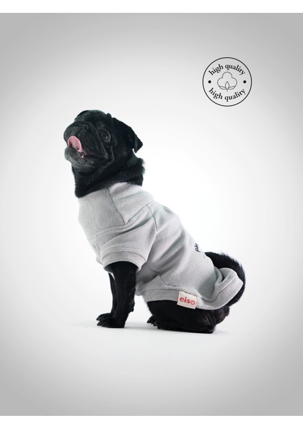 Köpek Sweatshirt - Winner