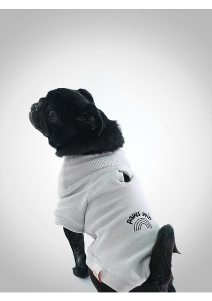 Köpek Sweatshirt - Winner fiyatları