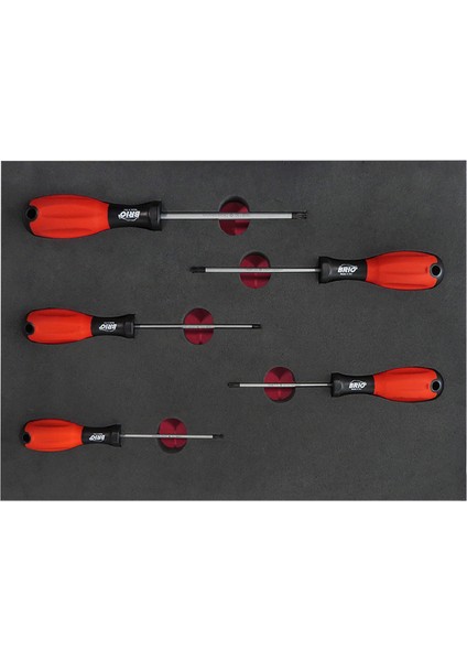 Tornavida Seti Torx (Tork) 5 Parça T10-T30 Sünger Yataklı