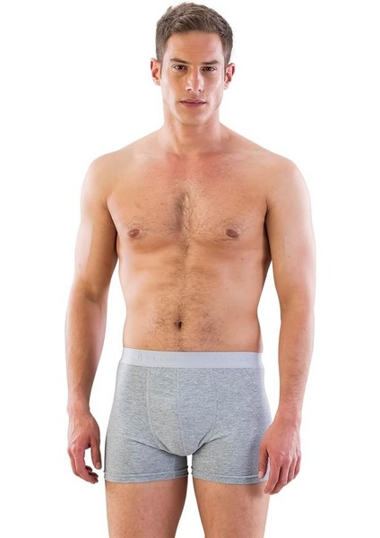 Gri 6800 Erkek Boxer