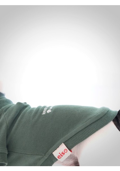Köpek Sweatshirt - Insider modelleri