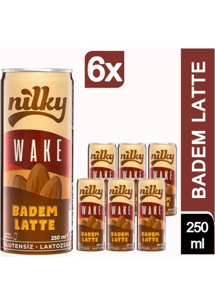 Wake Badem Latte 6 x 250 ml