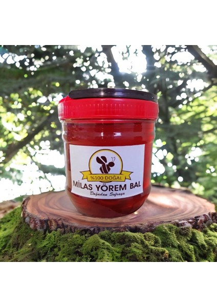 Doğal Çam Balı 2 kg