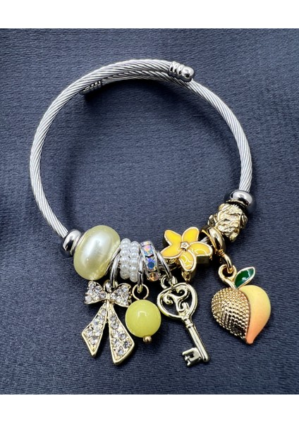 Gümüş Renk Çelik Pandora Bileklik