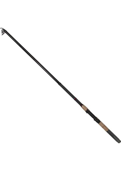 FX4000 Remixon Sapphıre 270CM 10-40GR Spin Olta Takımı Seti