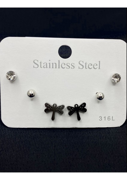 Gümüş Renk Şekilli Çelik Küpe Seti