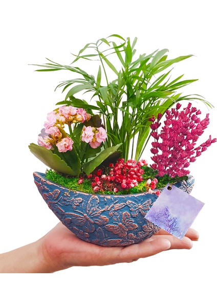 Çiçek Seli Kelebekli Gondol Saksıda Chamadorea Kalanchoe Lavanta Tasarım Çiçek & Mini Bahçe & Canlı Bitki