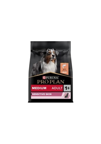 Medium Somonlu 3 kg Orta Irk Yetişkin Köpek Maması