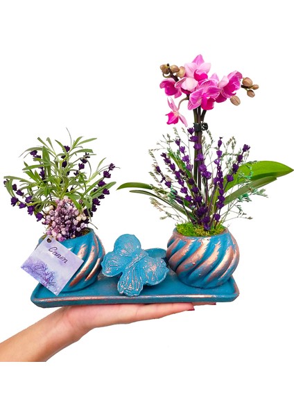 Mini Orkide ve Canlı Lavanta Kelebek Set Saksıda & Canlı Bitki Tasarımı & Orkide Çiçeği