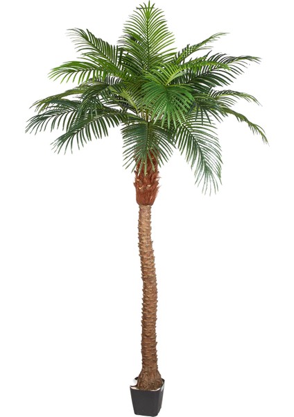 Yapay Phoenix Palmiye Ağacı Gerçek Dokulu 21 Yaprak 260 Cm.