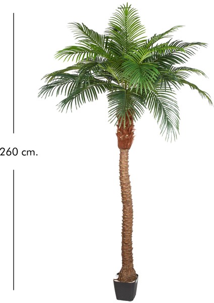 Yapay Phoenix Palmiye Ağacı Gerçek Dokulu 21 Yaprak 260 Cm.