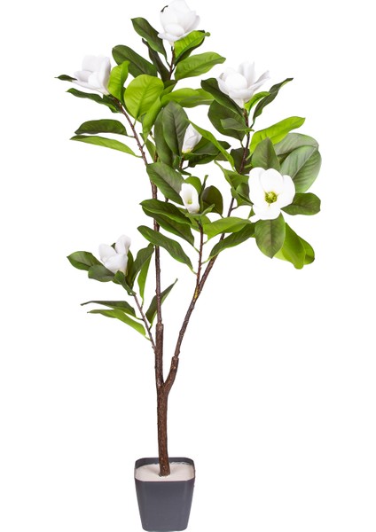 Yapay Manolya Ağacı Gerçek Dokulu 120 Cm.