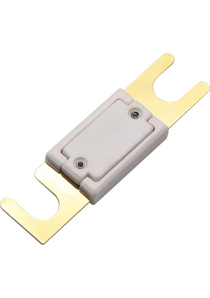 Anl Sigorta 300 Amp Dc 32 V M10 Araç Ses Amplifikatörü Invertör Yüksek Amperasge Uygulamaları Için Altın Kaplama (Yurt Dışından)