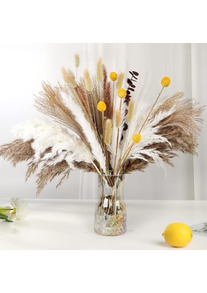 110 Adet Kurutulmuş Pampas Çim Boho Dekor Ev Dekor Için Doğal Kurutulmuş Çiçekler Boho Banyo Dekor, Ofis Dekor (Yurt Dışından)