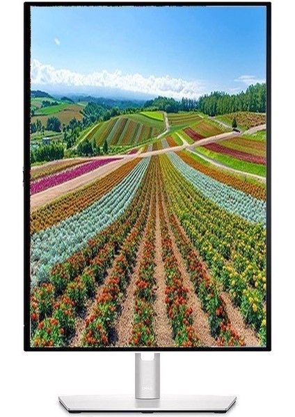 P3223QE 31.5" 5ms 4K HDMI Dp Type-C IPS modelleri