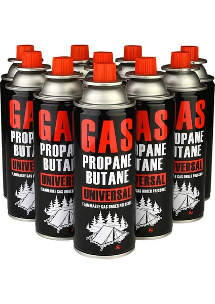 Kamp Ocak Gazı Valfli Kartuş 227GR 10