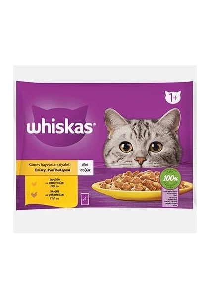 Tavuklu ve Hindili Yetişkin Kedi Yaş Maması 4X85 gr (13 Paket,52 Adet Tekli)