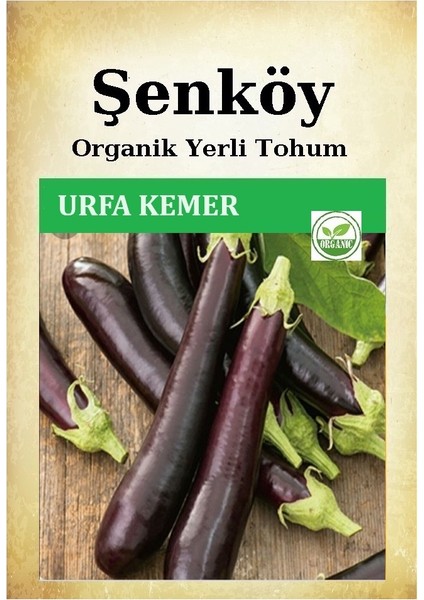 Yerli Urfa Kemer Patlıcan Tohumu Doğal Ata Kemer Patlıcan Tohumu Pakette 5 gr 1000 Adet