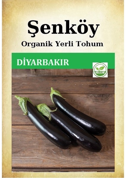 Yerli Diyarbakır Kemer Patlıcan Tohumu Doğal Ata Kemer Patlıcan Tohumu Pakette 100 Adet Tohum