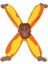 Harfler - X - Animals Letter 1
