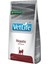 Vetlife Hepatic Kuru Kedi Maması 2kg 1