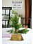 Şamdan Mumluk Dekoratif Mumluk Tealight Mumluk Model 36 Ikili Mumluk 5
