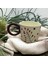 Ponsetya Ceramic & Lilies Atelier Kahverengi Bohem Dal Desen Puantiyeli El Yapımı Mug Kupa 260 ml 3