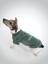 Köpek Sweatshirt - Insider 2