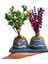 Bonsai Ağacı Euonymus ve Lavanta Beton Saksıda 2'li Set & Kokulu Çiçek & Doğum Günü 2