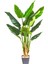 Yapay Beryl Tree Gerçek Dokulu 12 Yaprak 135 Cm. 3