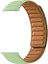 Apple Watch Se 2 2023 44MM Kordon Deri Mıknatıslı Gizli Mıknatıslı Krd 34 Yeşil 1