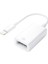Powermaster IPAD IPHONE Lıghtnıng Otg Adaptör (Flash Bellek Fare Klavye Bağlamak Için) 2
