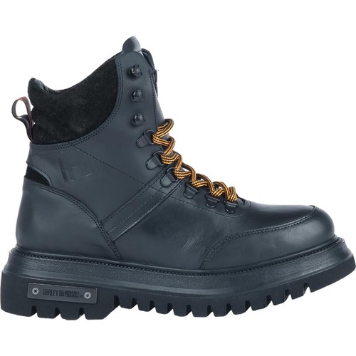 Harley-Davidson Stein Bot Numara 41