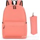 Renk Pembe