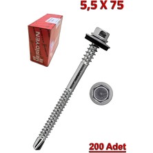 Meridyen Panel Vidası 5.5X75 (200 Adet)