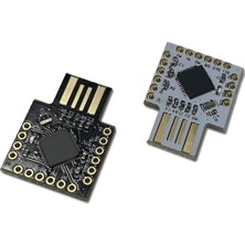 Sunshinee USB Için ATMEGA32U4 Mini Geliştirme Kartı Pro-Mıcro Çok Işlevli Taşınabilir Kullanışlı Modül, Siyah (Yurt Dışından)