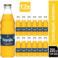 Beyoğlu Turunçgil Aromalı 12X250 ml